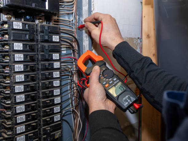 Best Ceiling Fan Installation Electrician  in Holly Hill, SC